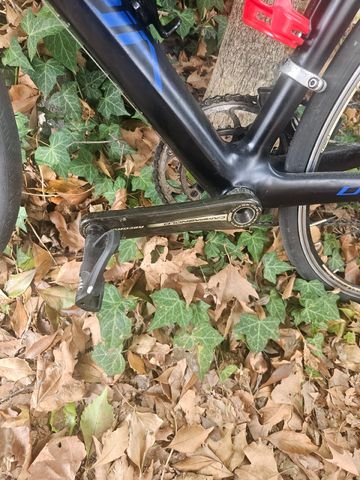 Used Olympia Custom Campagnolo Record 2012 Road & Gravel, Black — image 5 of 6