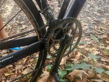 Used Olympia Custom Campagnolo Record 2012 Road & Gravel, Black — image 3 of 6