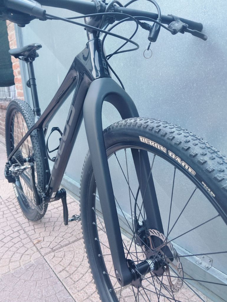Focus Raven 8.6 2022 2022 Mountainbike d'occasion — image 11 sur 12