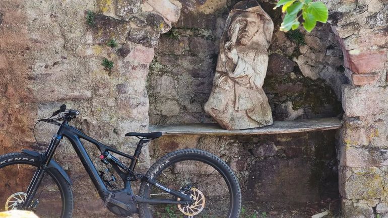 Gebrauchtes Specialized Turbo Levo Comp 2020 2020 Mountainbike, Schwarz, 29 — Bild 8 von 11