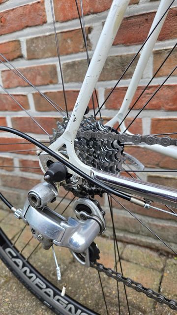 Eddy Merckx Custom Other Campagnolo 2000 Road & Gravel d'occasion — image 10 sur 18