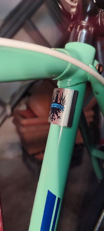 Bianchi Sprint Other Campagnolo 1975 Road & Gravel d'occasion — image 12 sur 29