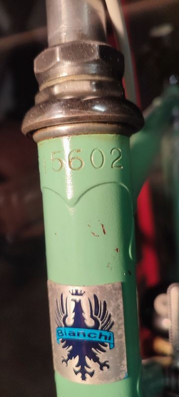 Bianchi Sprint Other Campagnolo 1975 Road & Gravel d'occasion — image 6 sur 29