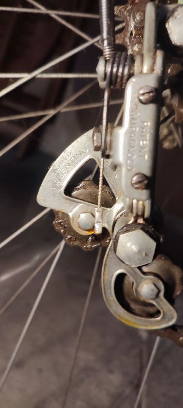 Bianchi Sprint Other Campagnolo 1975 Road & Gravel d'occasion — image 4 sur 29