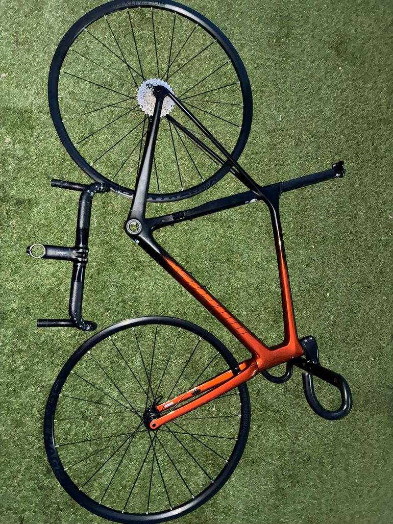 Used Giant TCR Advanced Pro Disc Frameset 2024 Frameset 2024 Road & Gravel, Orange — image 7 of 12