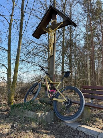 Used Orbea OCCAM M-LTD 2020 2020 Mountainbike, Orange, 29 — image 4 of 6