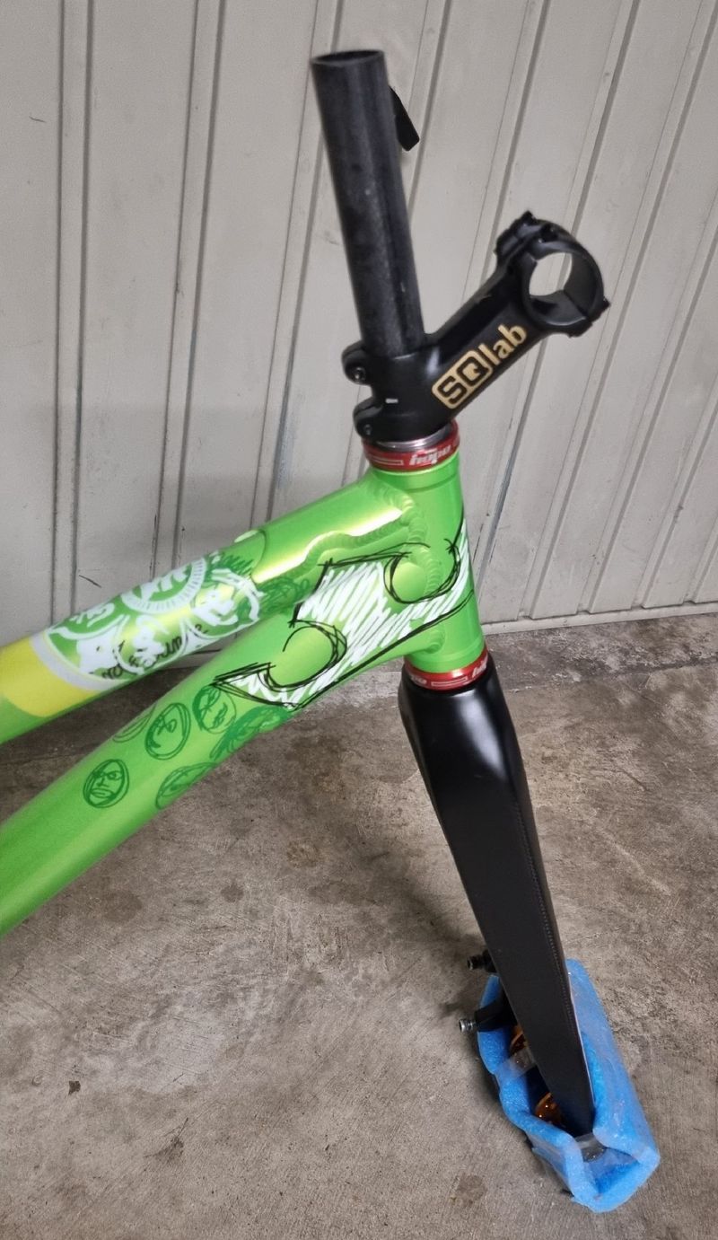 Used Ozonys Custom Frameset 2022 MTB