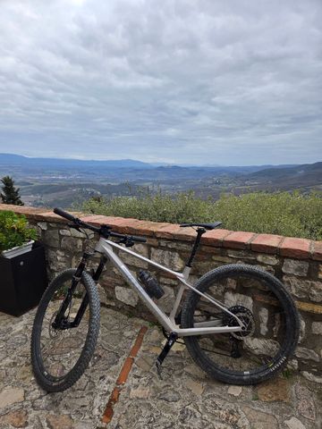 Used Bmc twostroke Custom SRAM GX Eagle 2021 Mountainbike, Light Gray — image 2 of 3