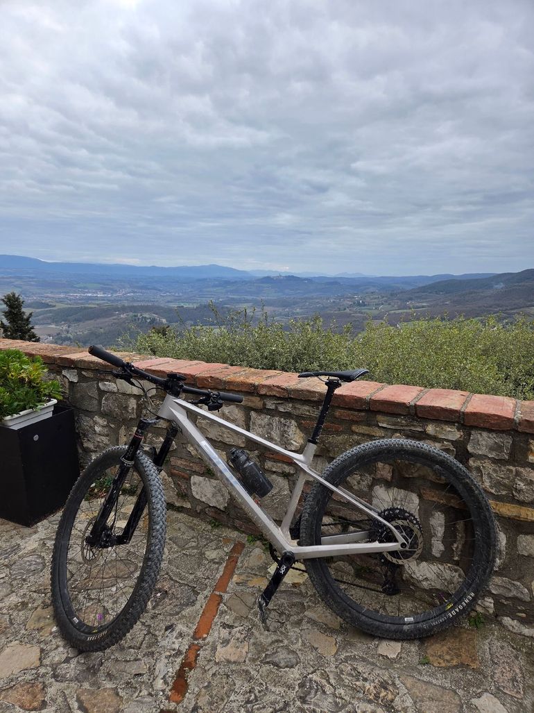 Used Bmc twostroke Custom SRAM GX Eagle 2021 Mountainbike, Light Gray — image 2 of 3