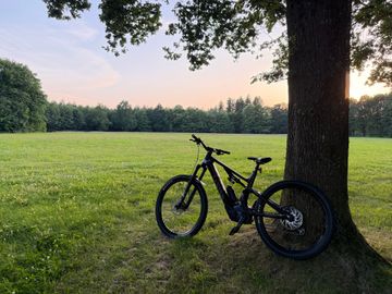 Gebrauchtes Canyon Spectral:ON CF 8 2023 2023 Mountainbike, Schwarz, 29, 27.5 — Bild 11 von 17