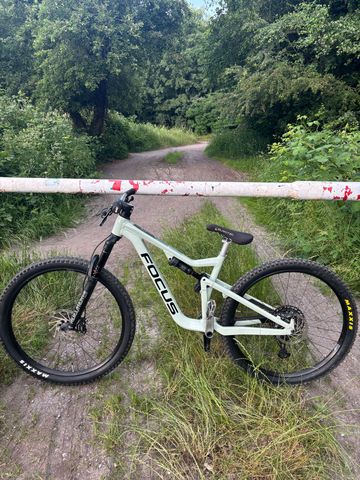 Gebrauchtes Focus JAM 6.8 2022 2022 Mountainbike, Grün, 29 — Bild 1 von 8