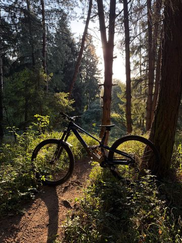 Lapierre Spicy CF Team 2026 2026 Mountainbike d'occasion — image 5 sur 5