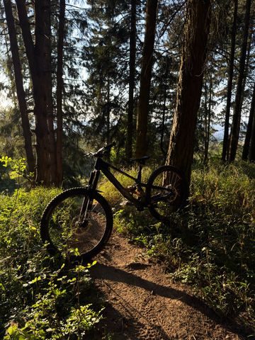 Lapierre Spicy CF Team 2026 2026 Mountainbike d'occasion — image 3 sur 5