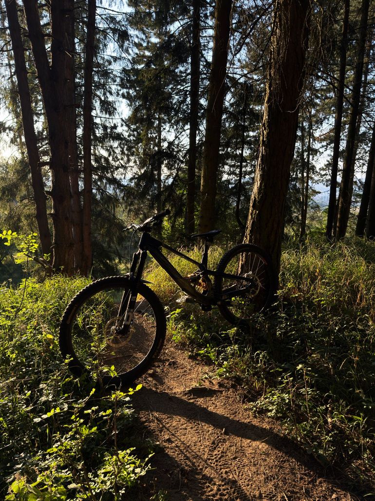 Lapierre Spicy CF Team 2026 2026 Mountainbike d'occasion — image 3 sur 5