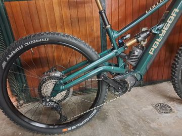 Used Polygon COLLOSUS N8XE 2026 2026 Mountainbike, Green, 29 — image 3 of 3