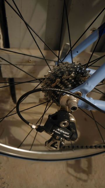 Gebrauchtes Carraro D'ambiez 915 Campagnolo 2016 Road & Gravel, Blau — Bild 4 von 7