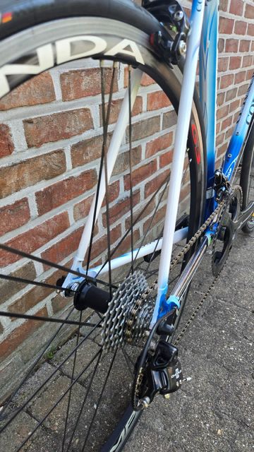 Used Colnago Master Campagnolo Chorus 1998 Road & Gravel, Blue — image 13 of 17