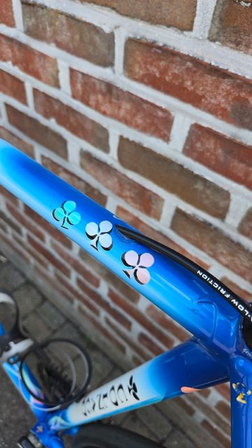 Used Colnago Neo-retro Campagnolo Chorus 1999 Road & Gravel, Blue — image 12 of 14