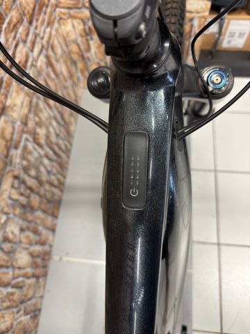 Gebrauchtes Giant Reign E+ 2, 2022 2022 Mountainbike, Schwarz, 29 — Bild 4 von 11