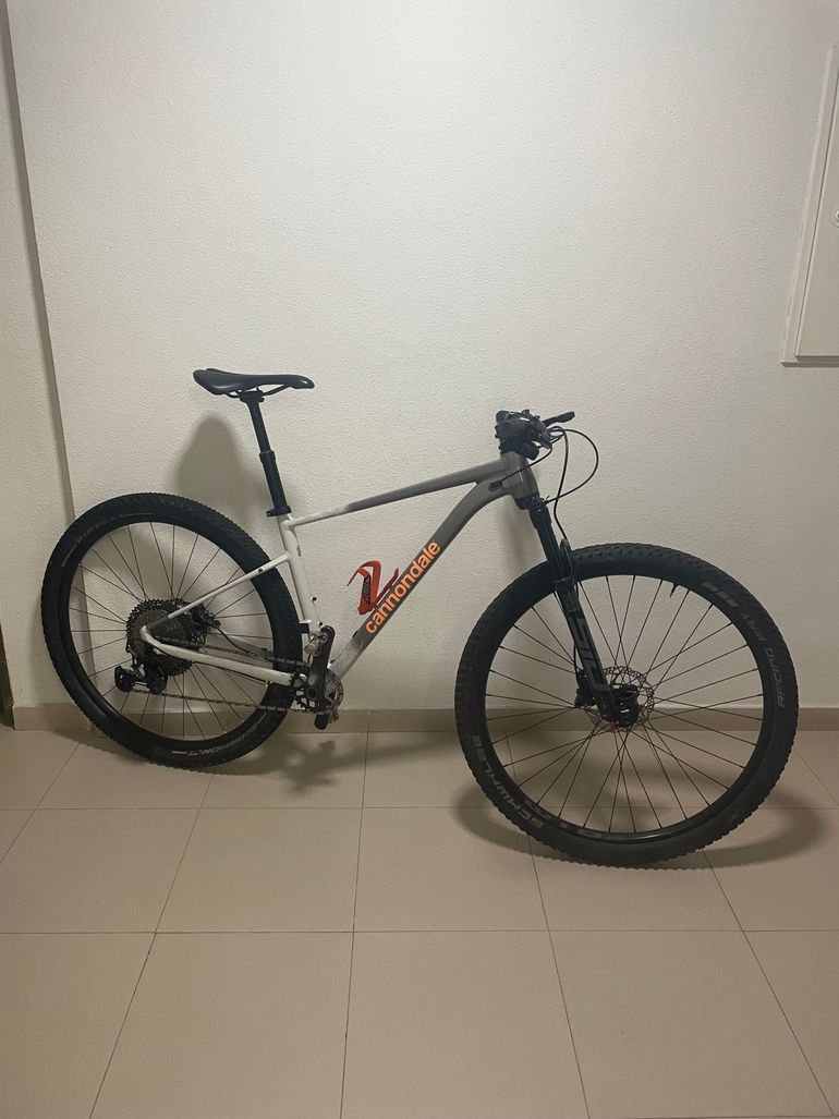 Used Cannondale Trail SL 1 2024 2024 Mountainbike, Light Gray — image 1 of 7