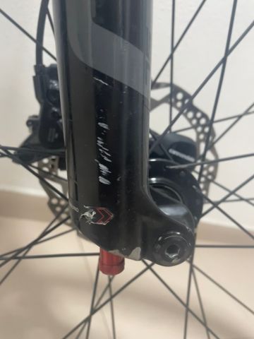 Used Cannondale Trail SL 1 2024 2024 Mountainbike, Light Gray — image 2 of 7
