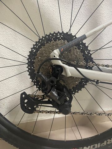 Used Cannondale Trail SL 1 2024 2024 Mountainbike, Light Gray — image 4 of 7