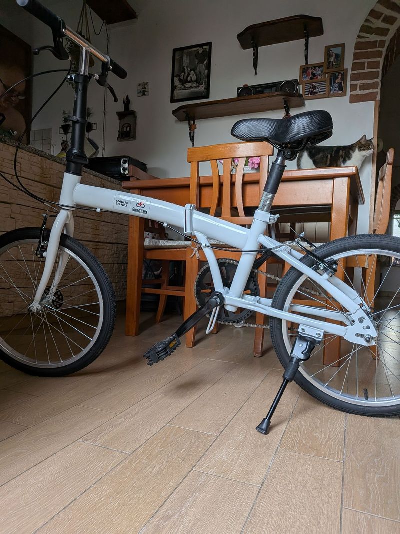 Used No brand Custom 2026 Urban & Touring