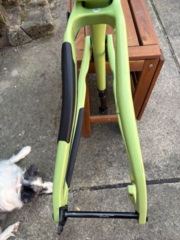 Used Santa Cruz BLUR Frame / Carbon CC 2024 Frameset 2024 Mountainbike, Green, 29 — image 11 of 31