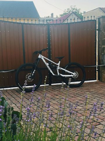 Tweedehands Canyon Torque Mullet AL 7 2024 2024 Mountainbike — afbeelding 2 van 7