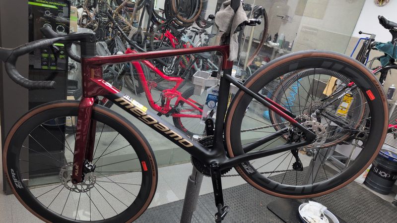 Used Megamo PULSE 15 CW 2025 2025 Road & Gravel