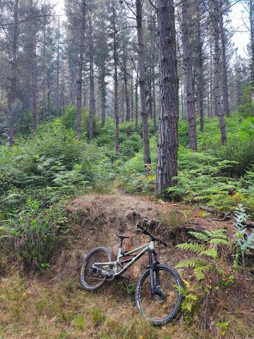 Used Commencal CLASH ORIGIN 2022 2022 Mountainbike, Green — image 1 of 4