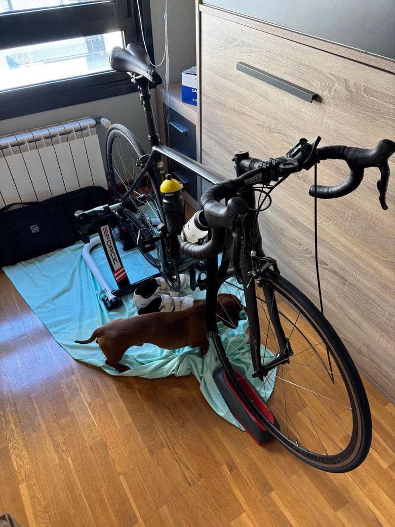 Used Orbea ORCA M20i 2018 2018 Road & Gravel