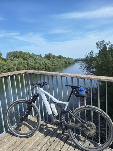 Used Focus Jam SL 8, 8 Custom Shimano Deore XT 2026 Mountainbike, Light Gray — image 2 of 3