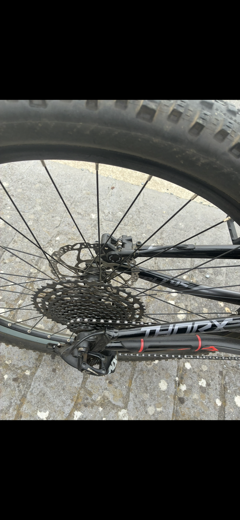 Kellys THORX 50, 29" 2026 2026 Mountainbike de segunda mano, Gris claro — imagen 5 de 5