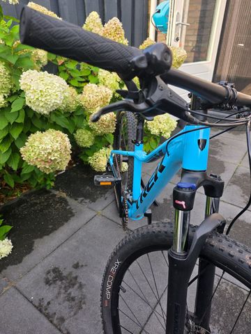 Used Trek Marlin 5 2022 2022 Mountainbike, Blue, 27.5, 26, 29 — image 10 of 17