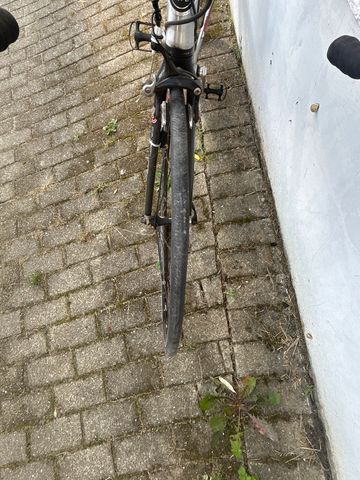 Used Trek 1200 2006 2006 Road & Gravel, Light Gray — image 5 of 6