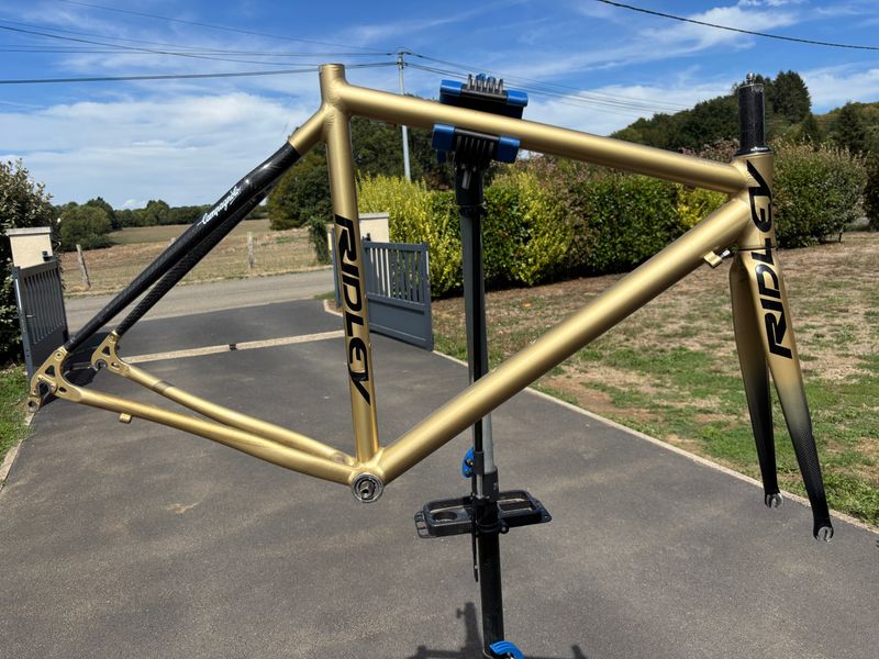 Używany RIDLEY Super Damoclès Frameset 2004 Road & Gravel