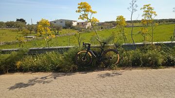 Gebrauchtes Pinarello X SOLAR GREEN 2025 Road & Gravel, Schwarz — Bild 1 von 16