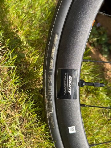 Gebrauchtes Liv EnviLiv Advanced 2 2024 2024 Road & Gravel, Rot — Bild 4 von 6