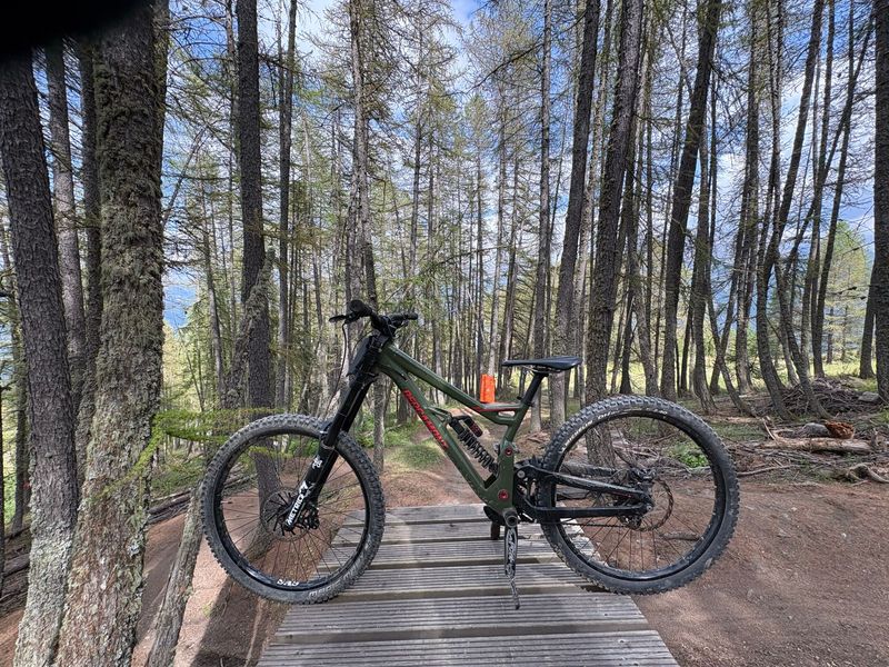 Used Bergamont Straitline 7 2020 2020 MTB