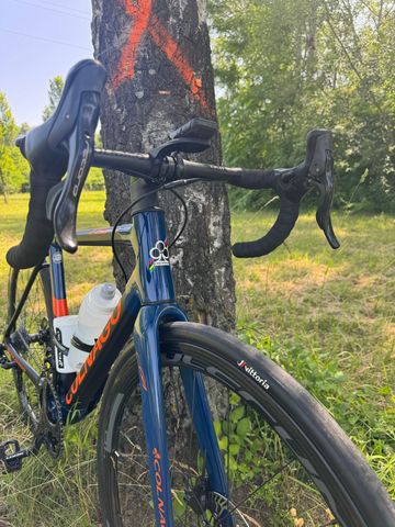 Used Colnago C64 Custom Frameset 2023 Road & Gravel, Blue — image 11 of 12