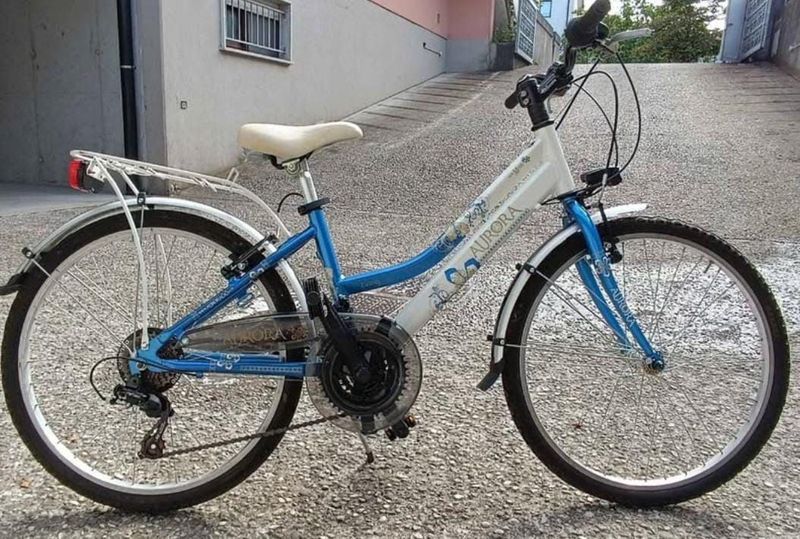 Gebrauchtes Alpina Bike Custom Kids & Youth
