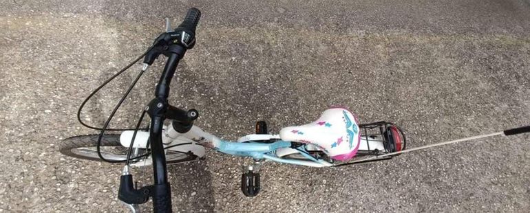 Gebrauchtes DINO BIKES Custom Youth, Blau — Bild 3 von 5