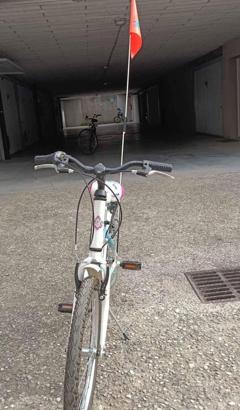 Gebrauchtes DINO BIKES Custom Youth, Blau — Bild 4 von 5