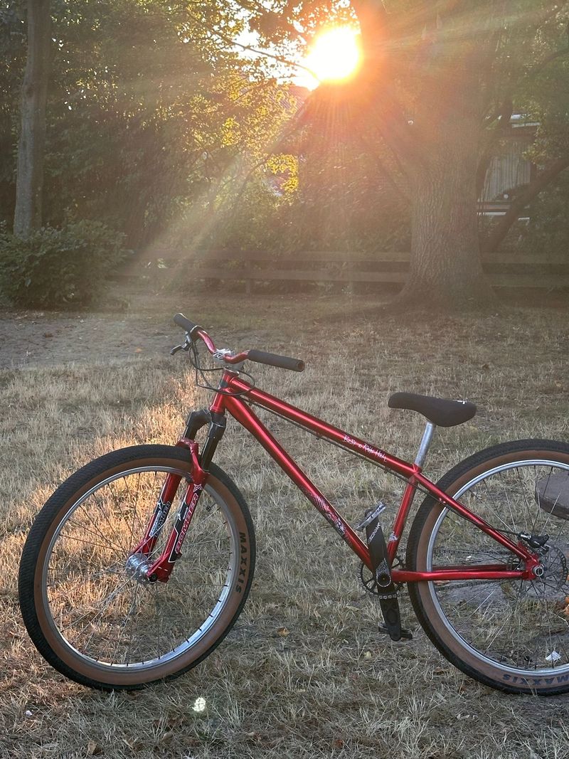 Used YT Industries Dirt Love Other Shimano 2012 MTB