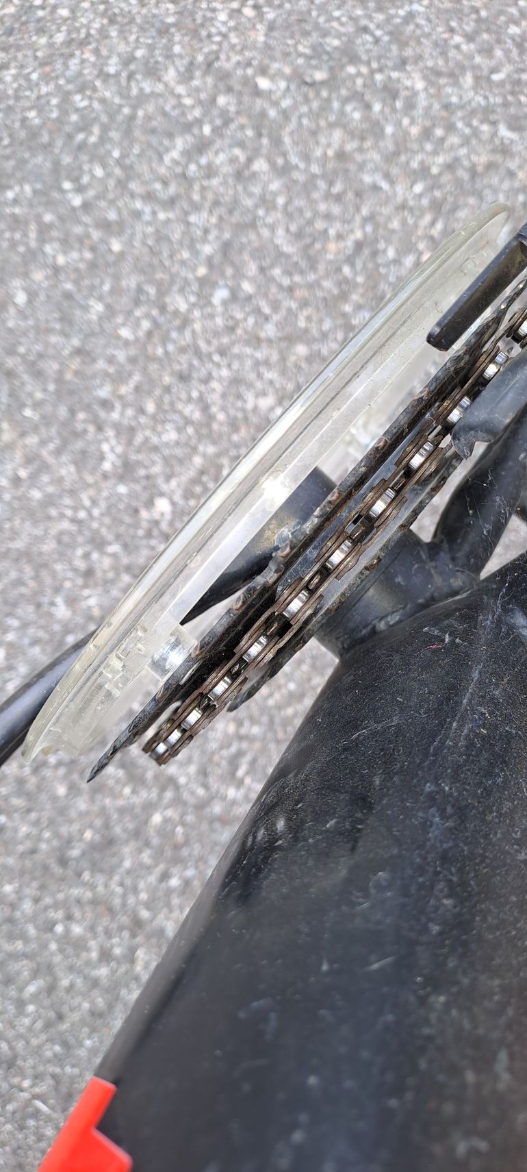 Cicli Adriatica Rock 2024 Youth d'occasion — image 8 sur 12