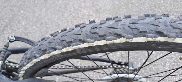 Cicli Adriatica Rock 2024 Youth d'occasion — image 5 sur 12