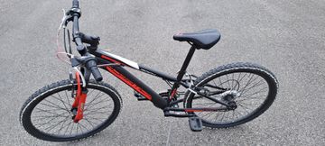 Cicli Adriatica Rock 2024 Youth d'occasion — image 2 sur 12