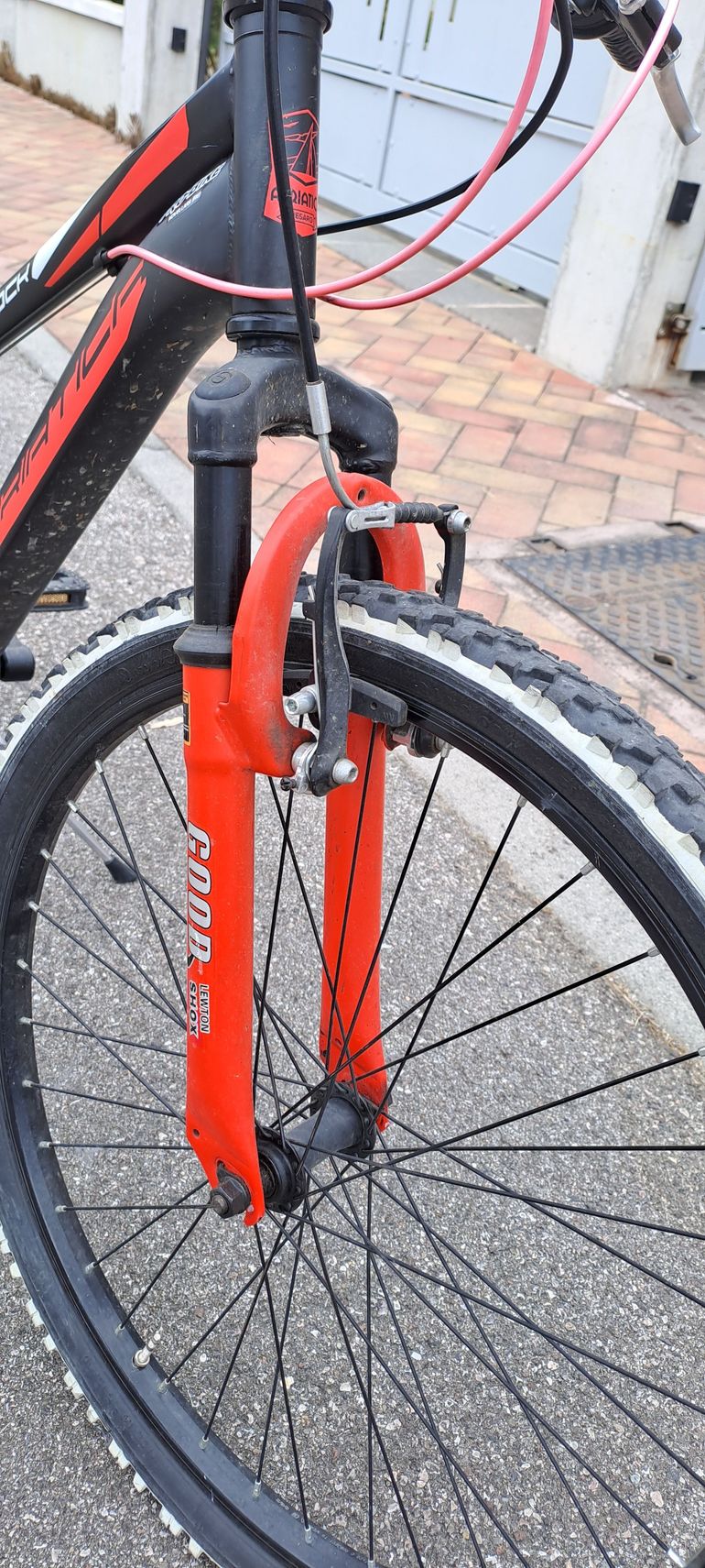 Cicli Adriatica Rock 2024 Youth d'occasion — image 3 sur 12