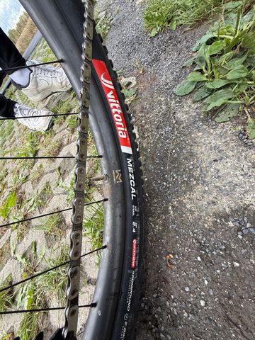 Avona Silva 2025 Mountainbike d'occasion — image 10 sur 17